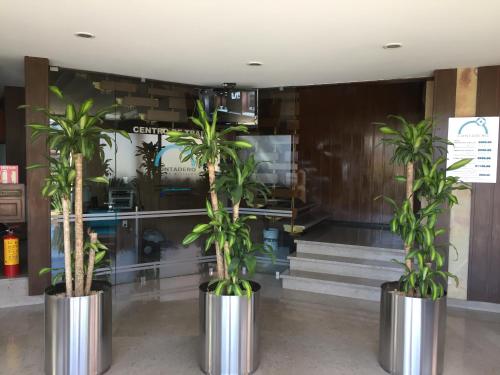 Lobby, Hotel Contadero Suites y Villas in Cuajimalpa