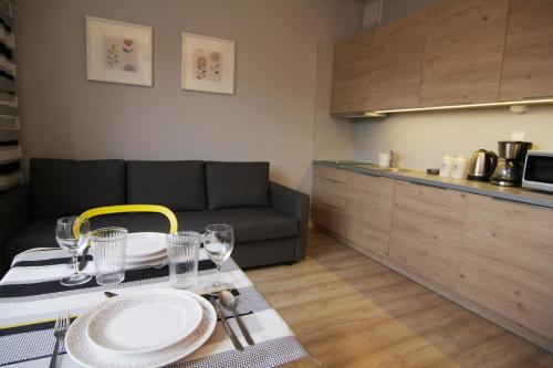 Apartment I GrayFor2 Old Town Kraków, Cracovie (photo 7)