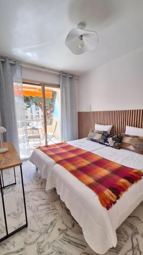 Appartement 1 chambre lacour club