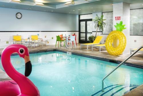 Staypineapple The Maxwell Hotel Seattle Center Seattle - image 3