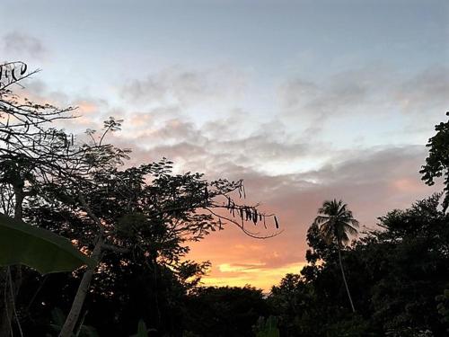 Tobago Hibiscus Golf Villas & Appartments