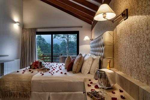 Hotel & Spa Saint Michel, Monte Verde (foto 8)