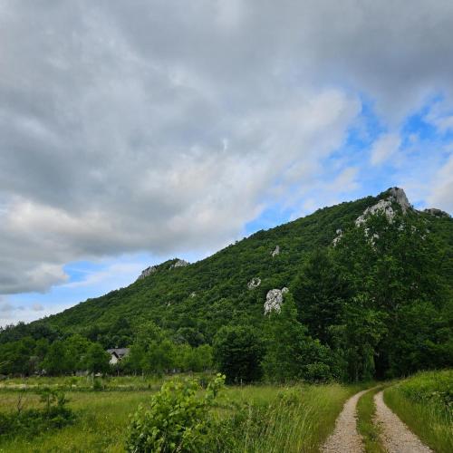 Country house in nature -10 min from Nikola Tesla Memorial Center-peace and privacy in Klanac