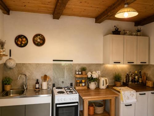 Country house in nature -10 min from Nikola Tesla Memorial Center-peace and privacy in Klanac