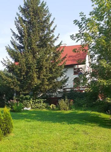 Pod jasionami in LOdzinka Dolna