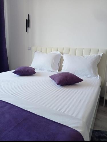 New Cazare Sibiu Alixy - image 5