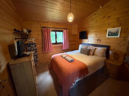 Brynmeini Lake Lodge in Glandwr