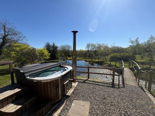 Brynmeini Lake Lodge in Glandwr