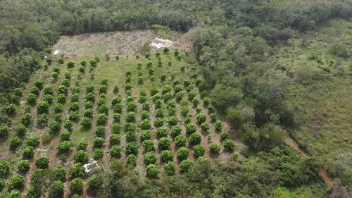 Rancho Emiliano in Ekbalam