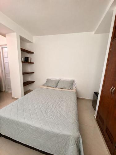 Casa Manchas