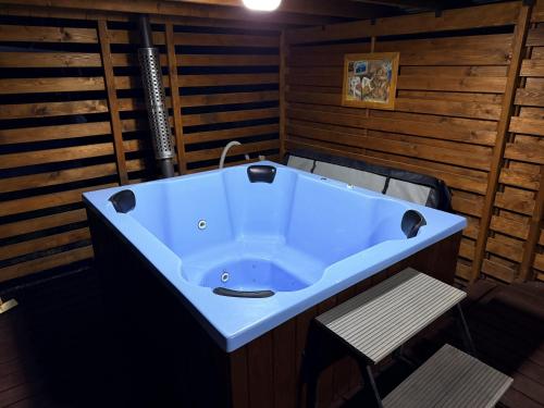 Sauna, Вілла Карпатська бульбона in Serhiji