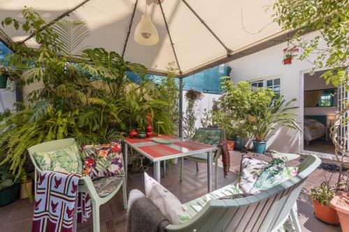 Relaxing Suite in Estrela