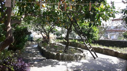 Villa image 7