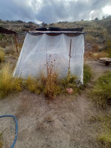 La Cápsula, a rugged nature stay in purity
