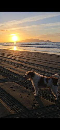 Affordable Private Pit Stop - Te Horo Beach in Tehoro