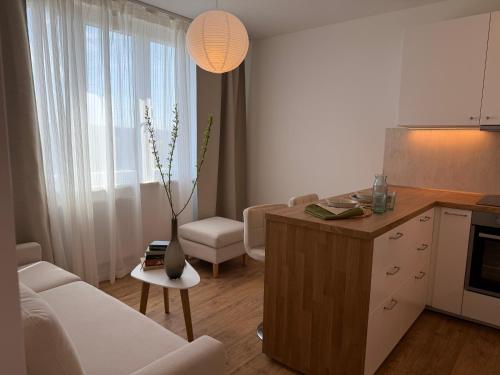 Luxurious apartment in the centre of Aš (Luxurious apartment in the centre of As) in As
