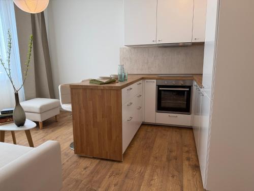Luxurious apartment in the centre of Aš (Luxurious apartment in the centre of As) in As