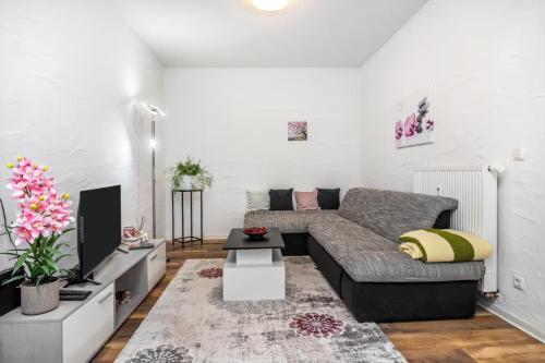 DanMa Ferienwohnung Apartment Eifel in Laubach (Rhineland-Palatinate)