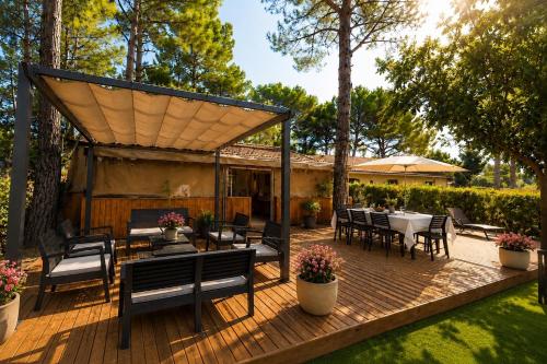 Le Chalet du Bonheur - Camping - Puget-sur-Argens