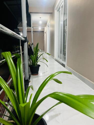 JEET PREMIUM HOMESTAY Palolem in Patnema