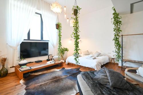 Loft del Talvera 1 2