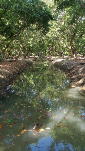 Warakorn Baansuan Amphawa