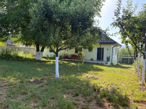 . Peaceful Studio Retreat in Lozova - Your Private Garden Escape authentic Moldovan village experience