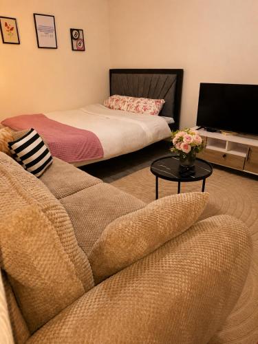 Comfy Studio