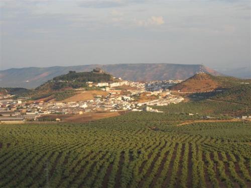 Hotel Casa Marchena