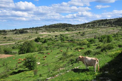 Casa Rural El Boixar - El Mirador