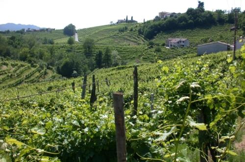 b&b alla pergola - Accommodation - Valdobbiadene