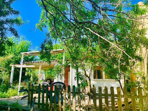 Chalet Plain Nature