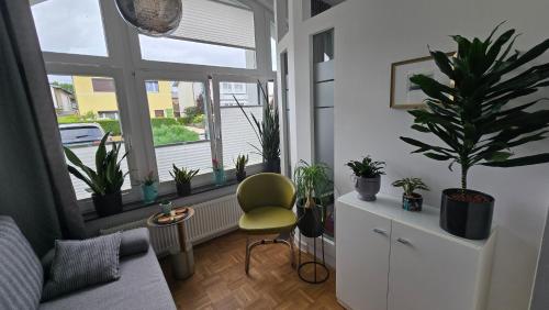 Küstenvilla stilvolle 3Zi FerienWhg mit Terrasse ruhig zentral strandnah 600m - image 3