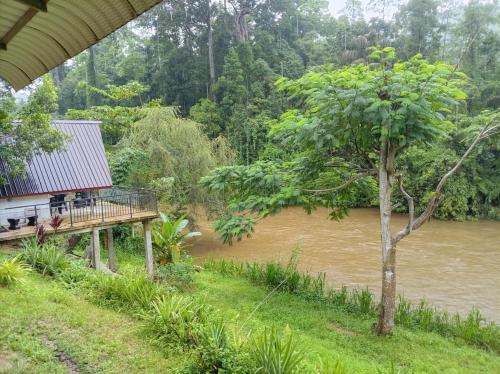 Exterior view, Rainforest River Cabana & Villa in Siharaja