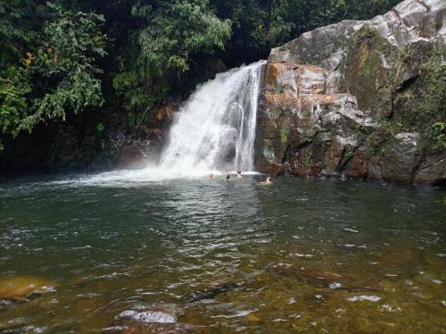 Rainforest River Cabana & Villa in Siharaja
