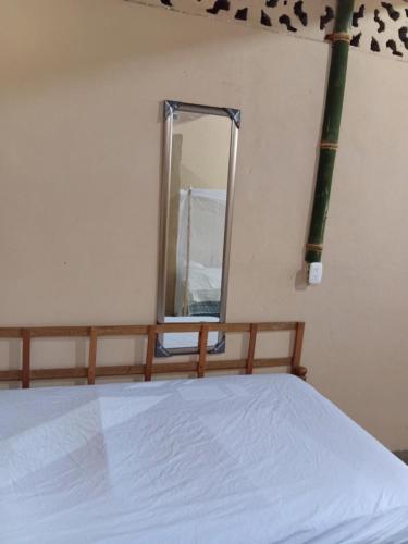 Iguana House in Balgue