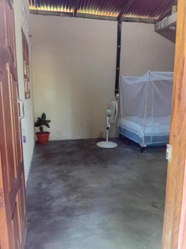 Iguana House in Balgue