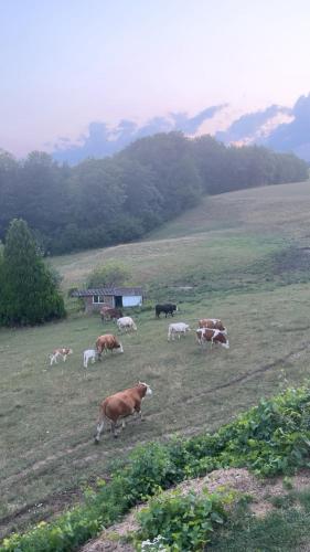 Urlaub auf dem Bauernhof in Hohenfels (Baden-Wurttemberg)