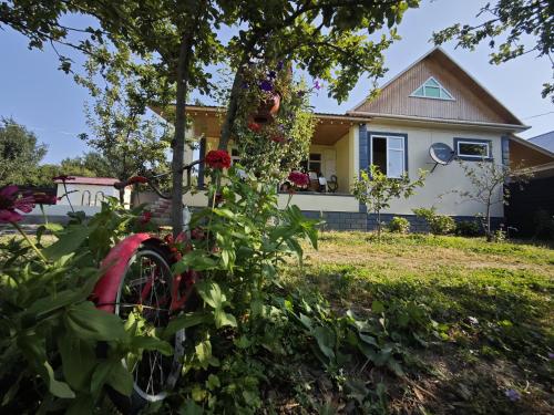 Qebele Romi Family House in Vandam
