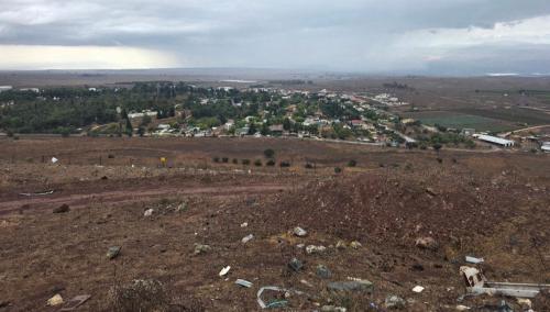 גפן הגולן in Bruchim