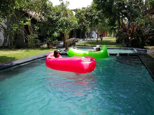Adys Inn - image 5