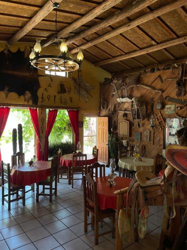 Bar/lounge, Hotel Paraiso del Oso in Cerocahui (Chihuahua)