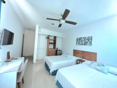 Casa Terracota Micro Hotel Consulado