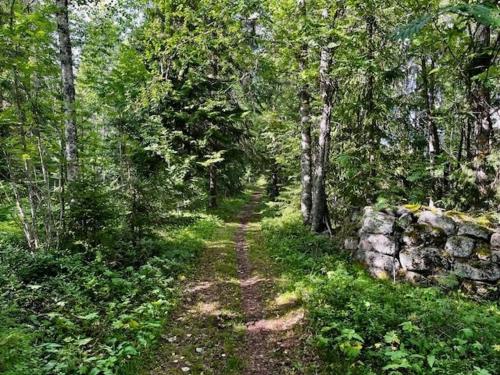 Ümbrus, Ryggskog Lada in Los