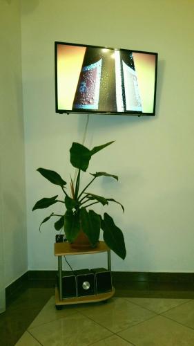Apartment Irena - image 14