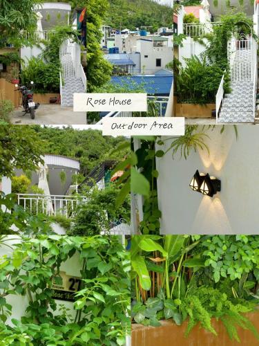 花園, ROSE HOUSE Cat Ba island in 杭隋