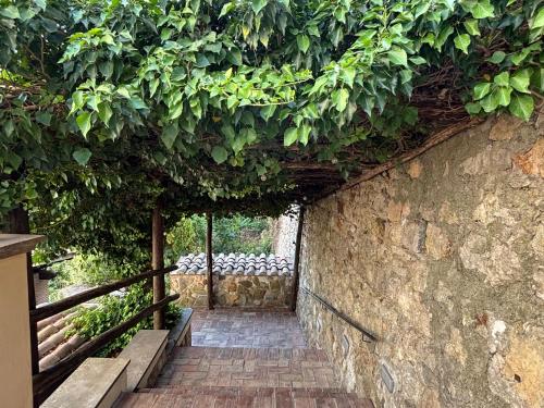 Edera Rooms in Tolfa