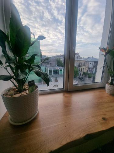 Luxury Studio for Digital Nomads in T'bilisi City