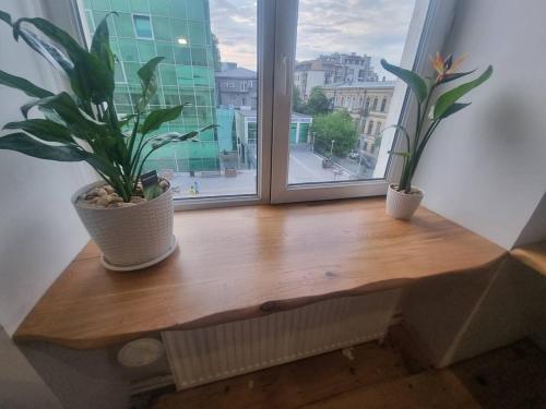 Luxury Studio for Digital Nomads in T'bilisi City