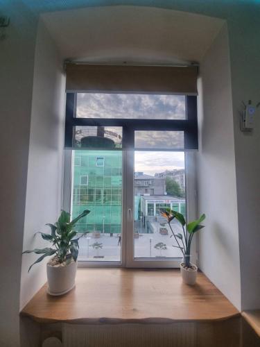 Luxury Studio for Digital Nomads in T'bilisi City